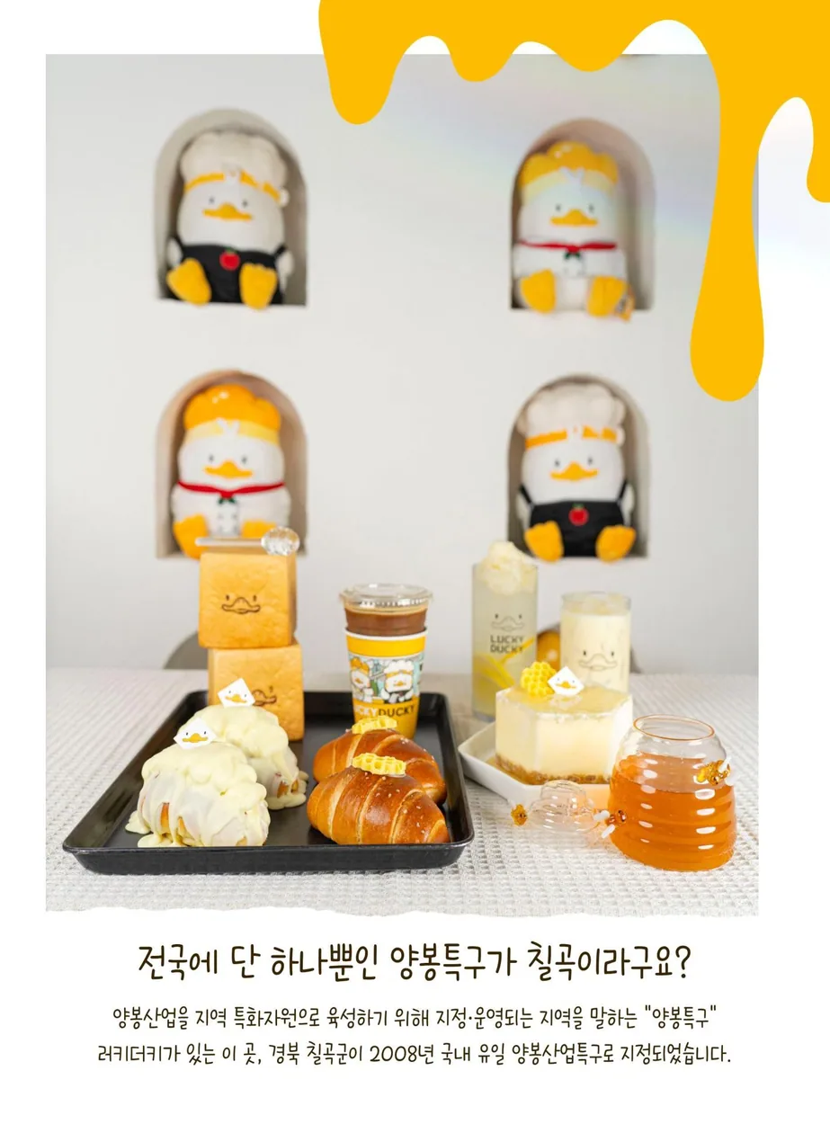 상품 홍보 이미지